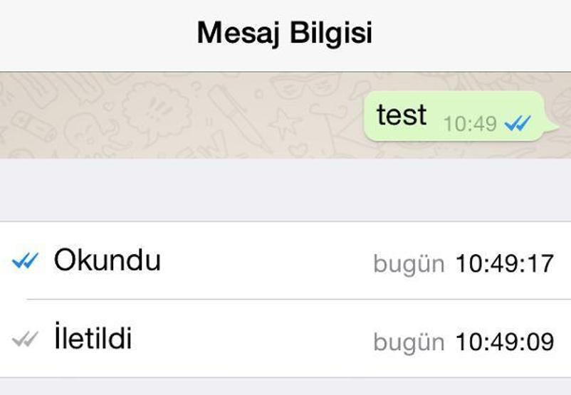 WhatsAppta mavi tik capsleri