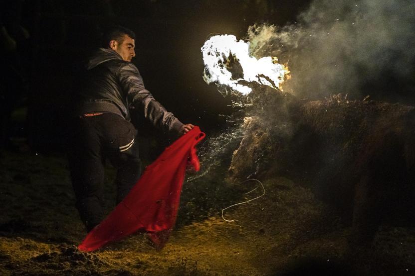 Boğa yakma festivali eylemlere rağmen gerçekleştirildi