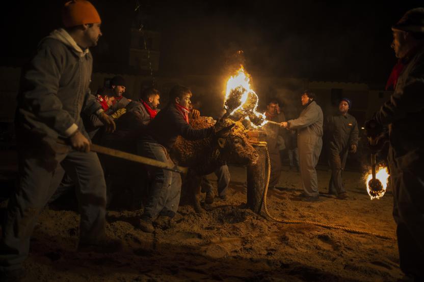Boğa yakma festivali eylemlere rağmen gerçekleştirildi
