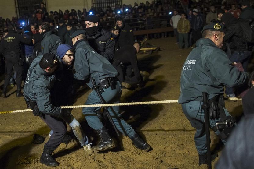 Boğa yakma festivali eylemlere rağmen gerçekleştirildi