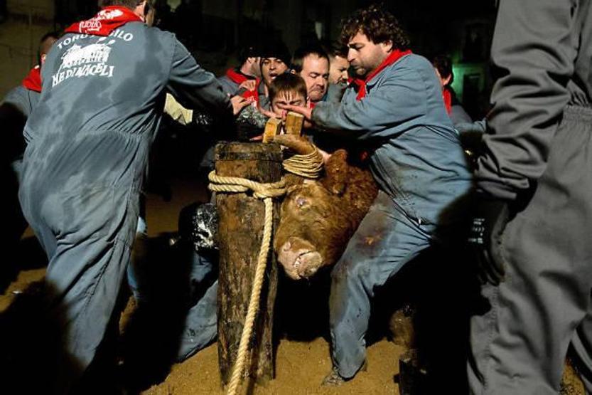 İspanyada korkunç gelenek devam ediyor