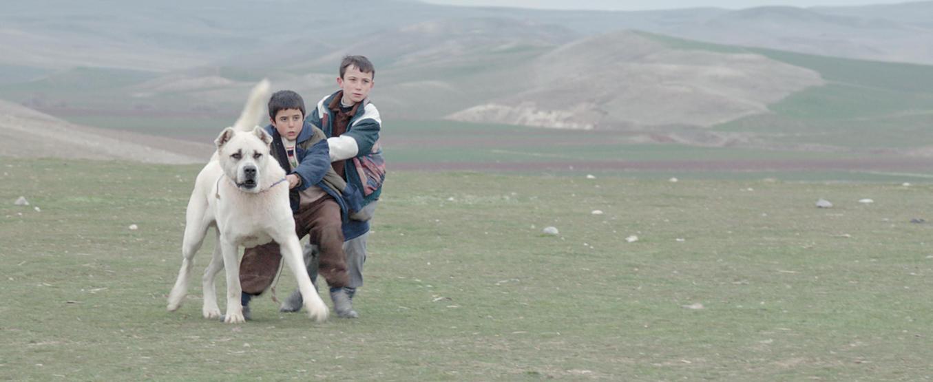 Gezici Festival yola çıkmaya hazırlanıyor