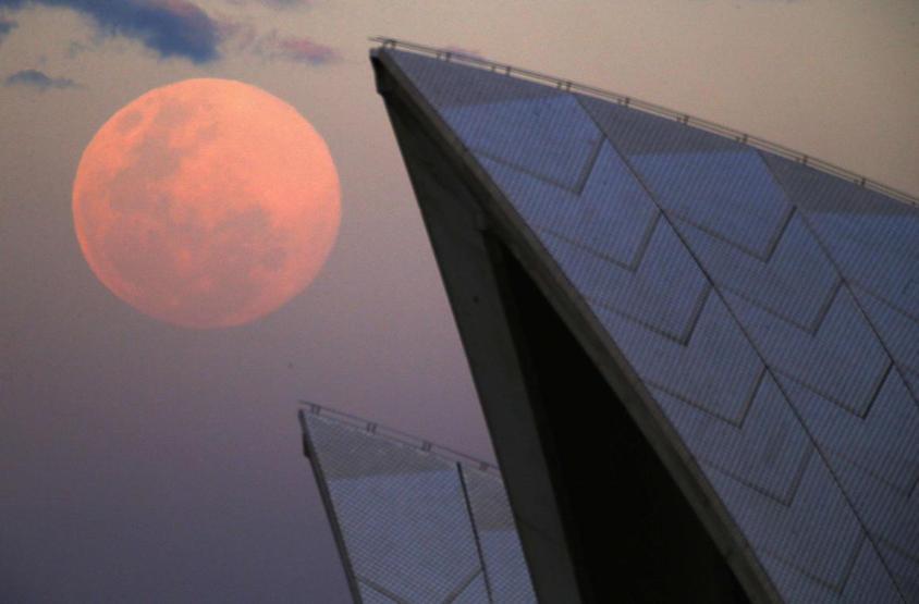 Reutersin en popüler 30 instagram fotoğrafı