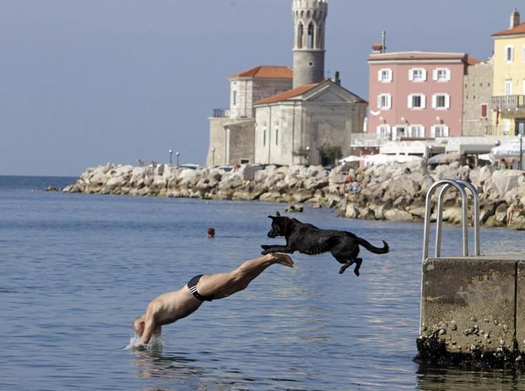 Reutersin en popüler 30 instagram fotoğrafı