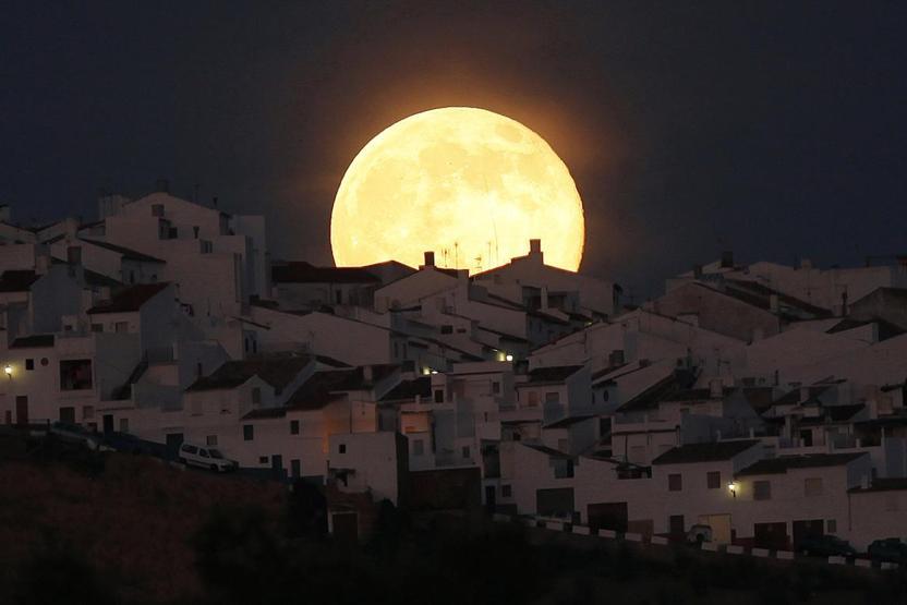 Reutersin en popüler 30 instagram fotoğrafı