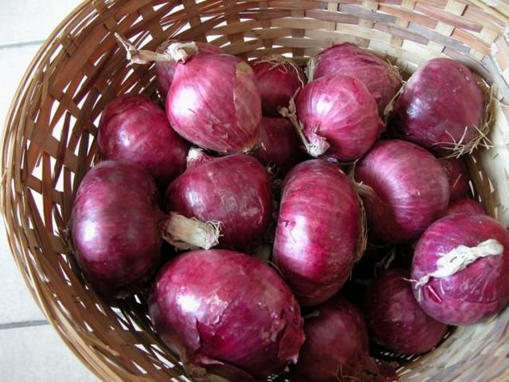 Soğanın faydaları