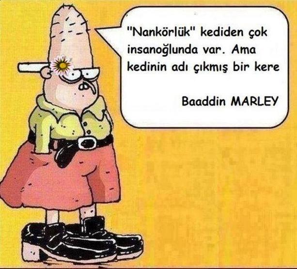 Sosyal medyanın son fenomeni Baaddin