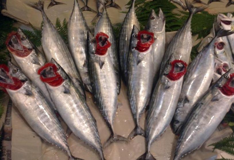 Balık fiyatları tavan yaptı Tanesi 30 TL