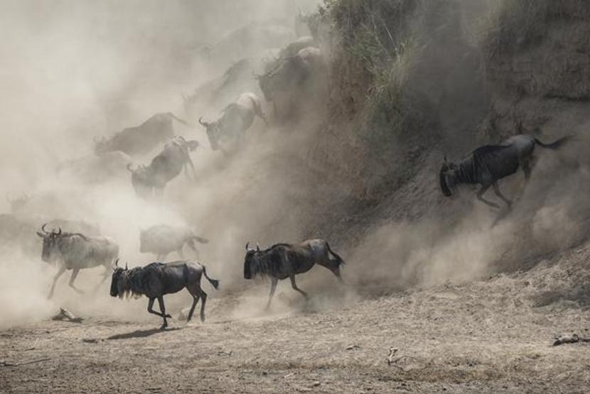 Dikkat bu fotoğraflar çarpabilir