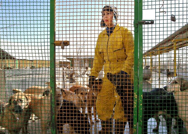 İranda köpeklerin sığınabilecekleri tek yer