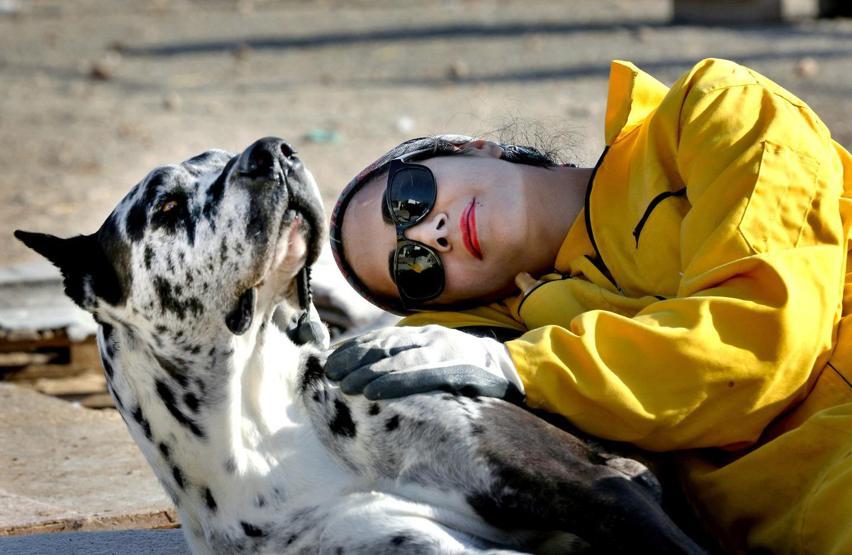 İranda köpeklerin sığınabilecekleri tek yer