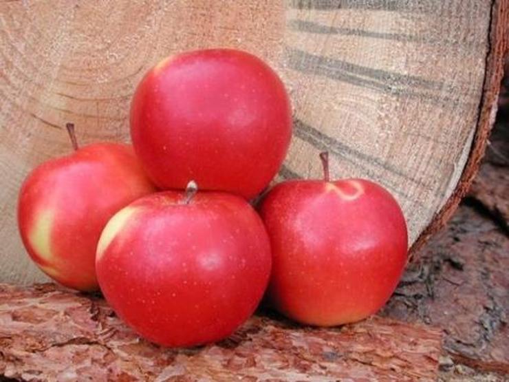 Hangi ülkede 1 dolara ne alınır