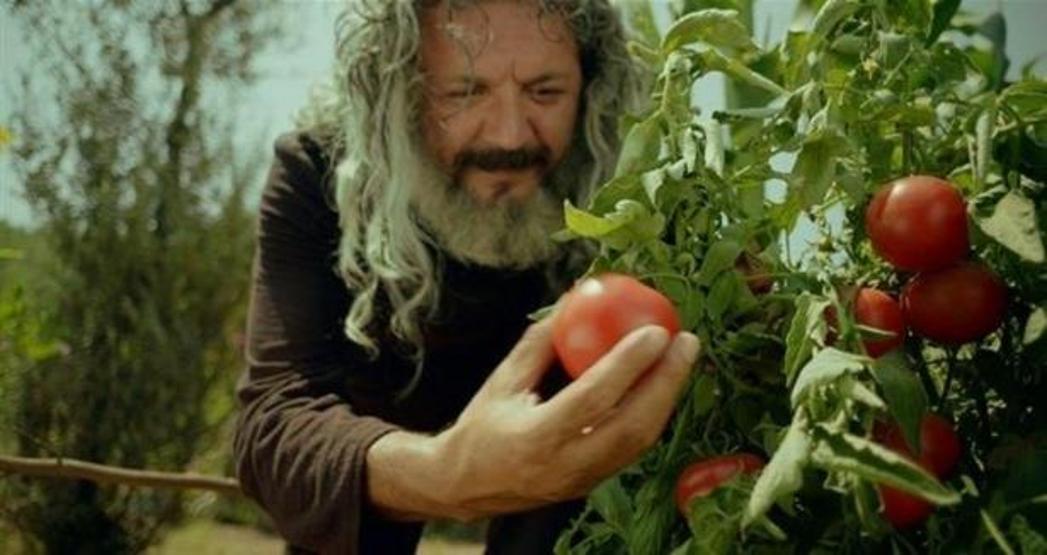 2014ün en çok aranan filmleri