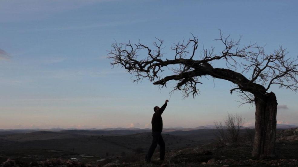 Vizyonda bu hafta: 19 Aralık 2014