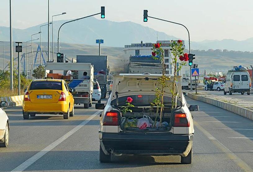 Trafikten objektife yansıyan ilginç fotoğraflar