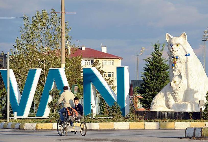 Trafikten objektife yansıyan ilginç fotoğraflar