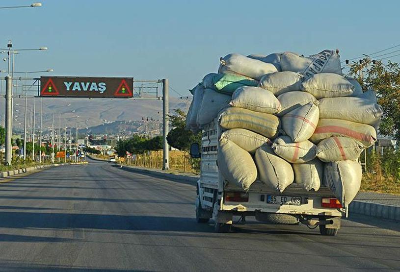 Trafikten objektife yansıyan ilginç fotoğraflar