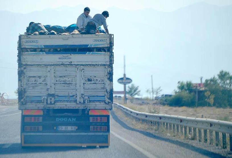 Trafikten objektife yansıyan ilginç fotoğraflar
