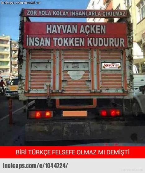 Türkçe felsefe yapılmaz capsleri