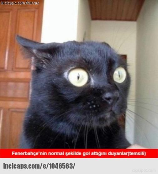 Süper Ligde haftanın en iyi capsleri