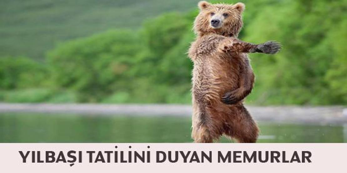 Yılbaşı capsleri