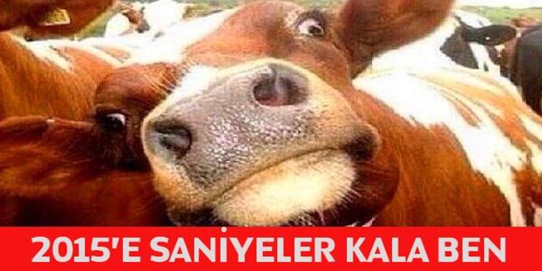 Yılbaşı capsleri