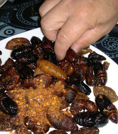 Keşke öğrenmeseydim diyeceğiniz 10 gerçek