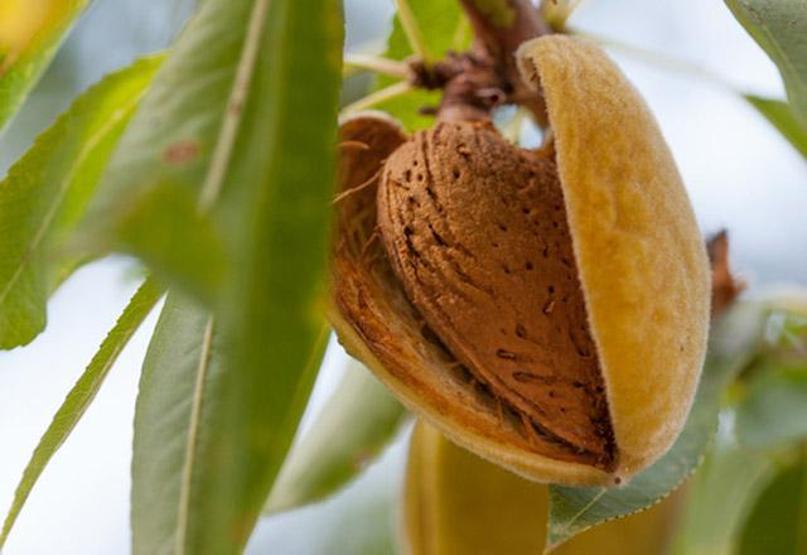 Ağız kokusunu gidermenin ipuçları