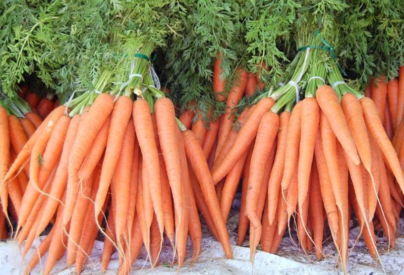 Kara kışta vücut direncini artırma önerileri