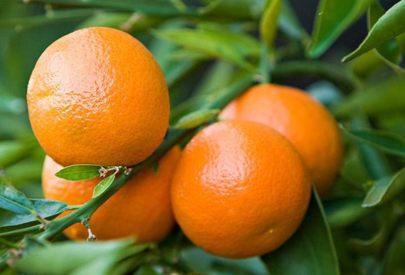 Kara kışta vücut direncini artırma önerileri