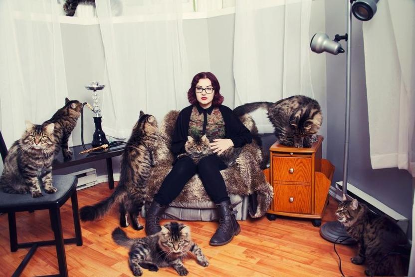 Çılgın kedi severler
