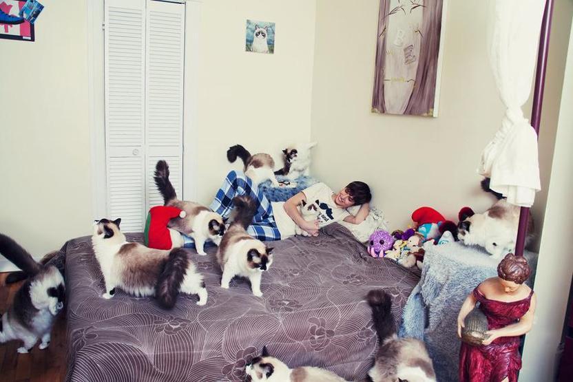 Çılgın kedi severler