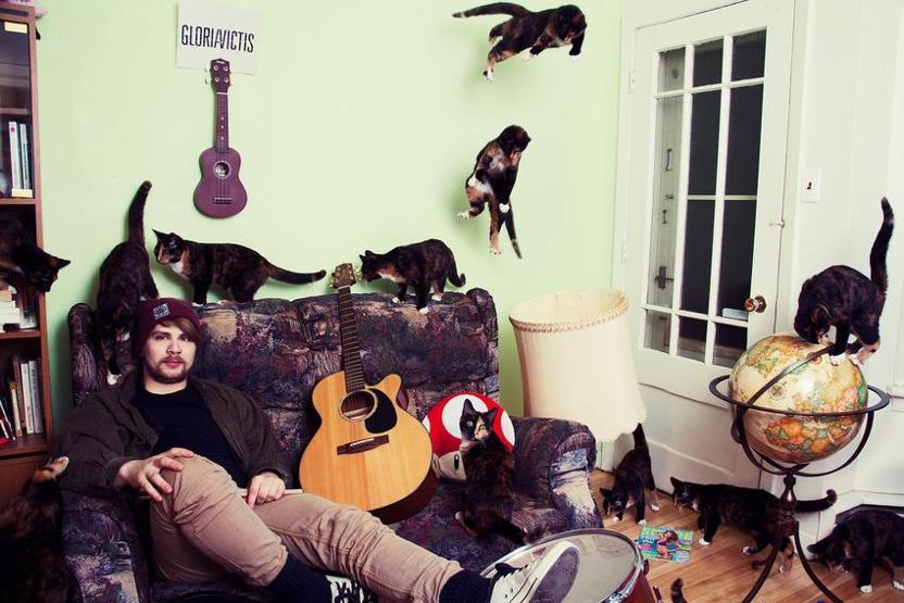 Çılgın kedi severler