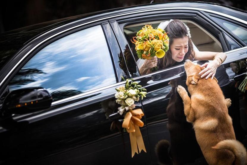 En güzel düğün fotoğrafları