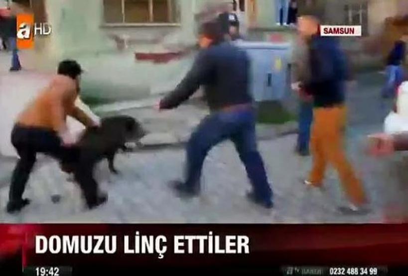 Acayip haber başlıkları