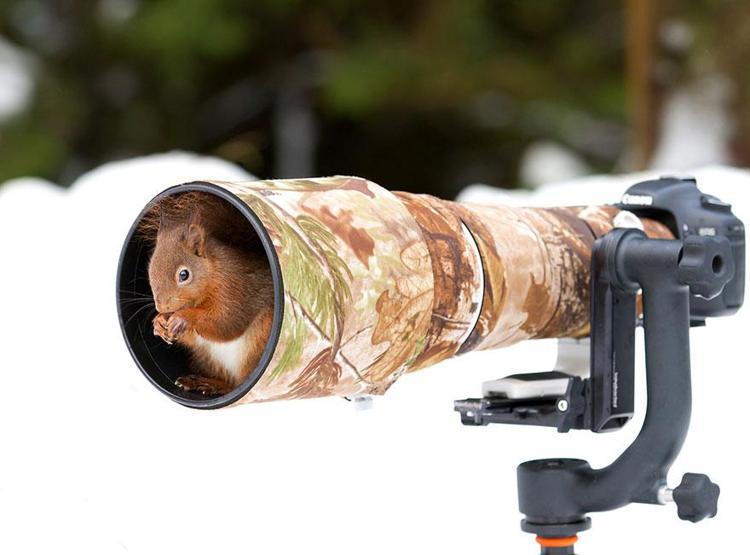 Hayvanların fotoğraf makinesiyle imtihanı