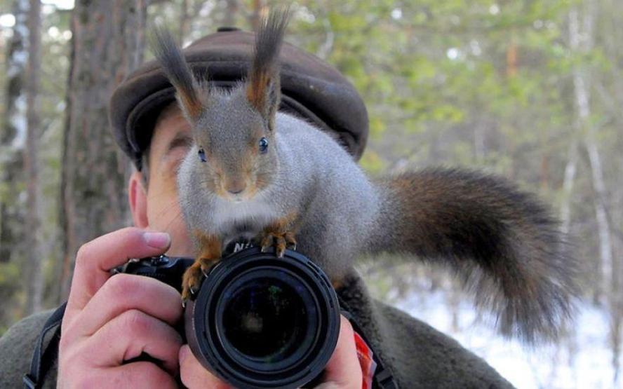 Hayvanların fotoğraf makinesiyle imtihanı
