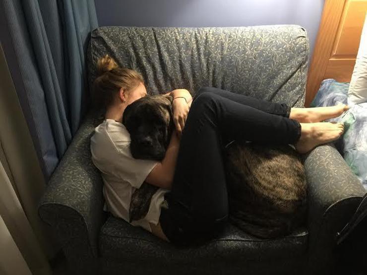 Kanser olan köpeğiyle veda yolculuğuna çıktı