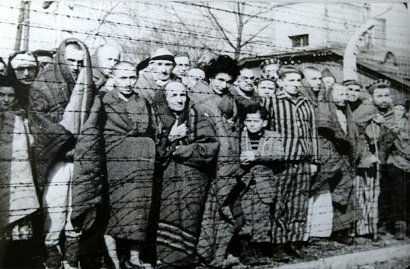 Auschwitz kampı: İnsanlığın öldürüldüğü yer