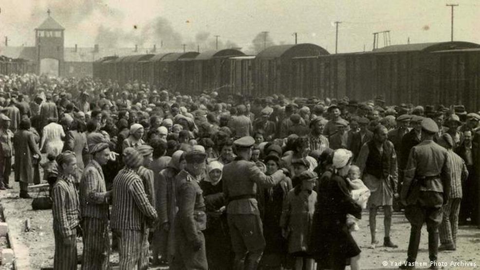 Auschwitz kampı: İnsanlığın öldürüldüğü yer