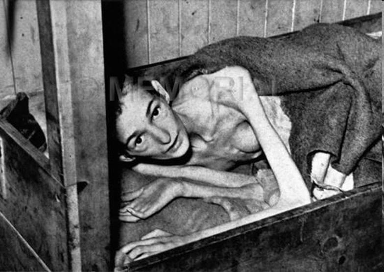 Auschwitz kampı: İnsanlığın öldürüldüğü yer