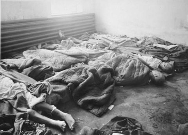 Auschwitz kampı: İnsanlığın öldürüldüğü yer