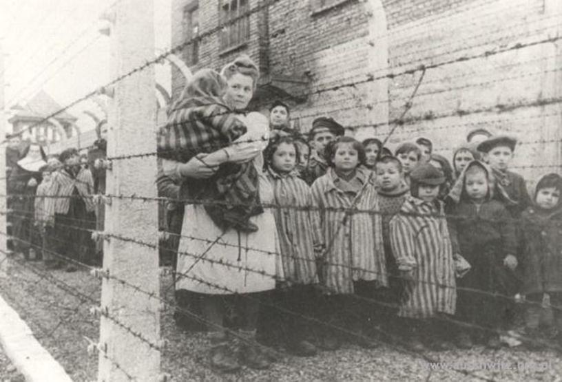 Auschwitz kampı: İnsanlığın öldürüldüğü yer