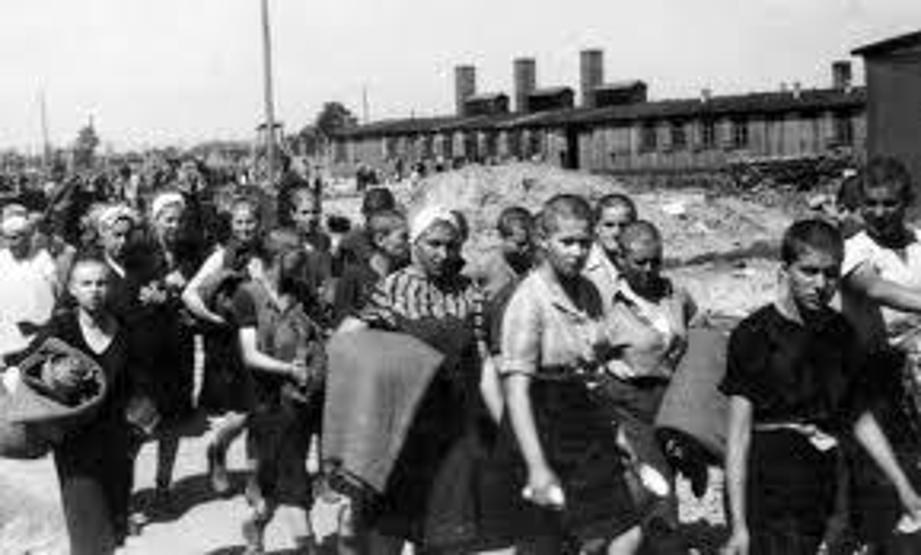Auschwitz kampı: İnsanlığın öldürüldüğü yer