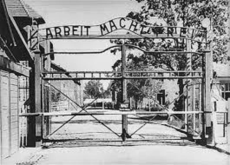Auschwitz kampı: İnsanlığın öldürüldüğü yer