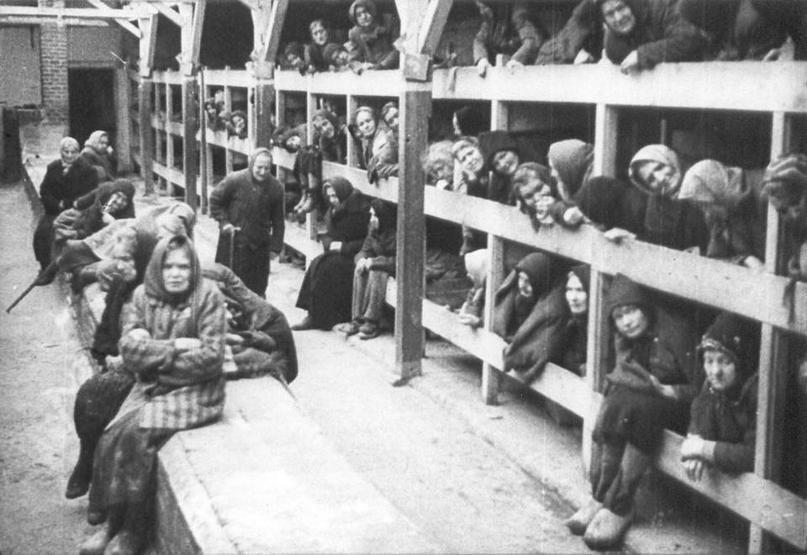 Auschwitz kampı: İnsanlığın öldürüldüğü yer