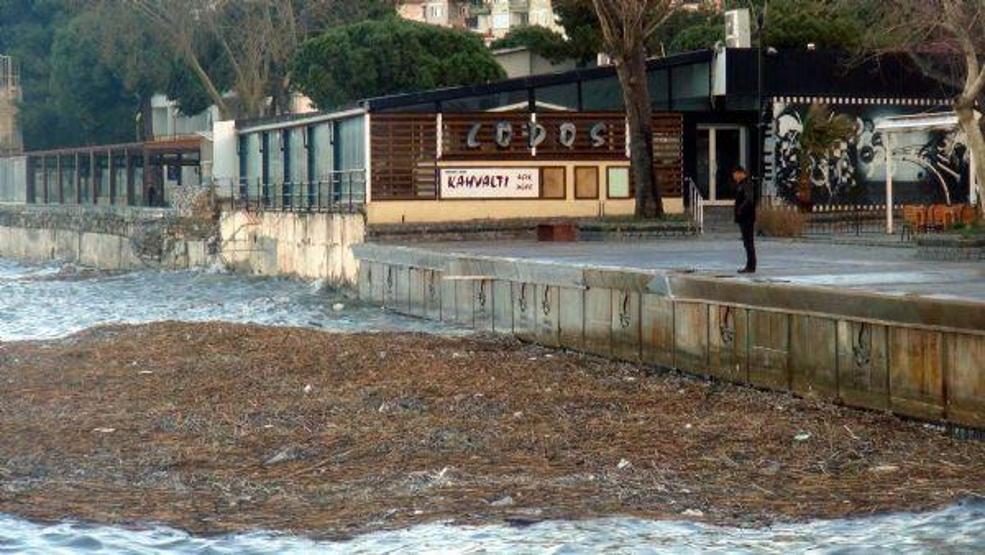Lodos Çanakkale Boğazını bu hale getirdi