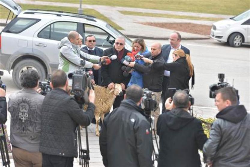 Ensar Öğüt basın toplantısına koçla geldi