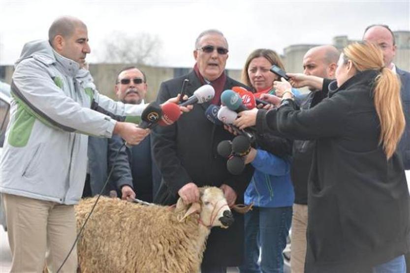 Ensar Öğüt basın toplantısına koçla geldi