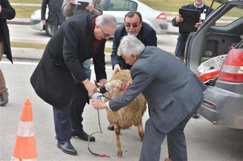 Ensar Öğüt basın toplantısına koçla geldi